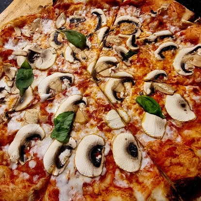 647294930 1539162974883765 1460144123356510441 N